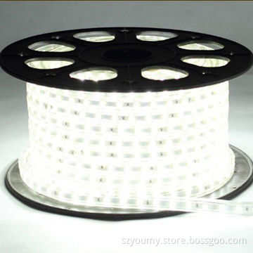 5050 SMD 220V white color waterproof flexible SMD LED strips